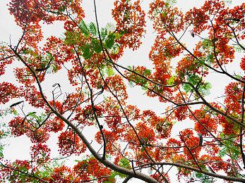 《极限竞速：Motorsport》新实机 雨天多人飙车