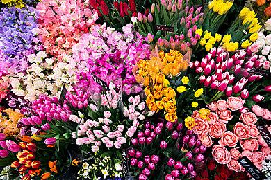 PS名作《Dokapon：愤怒的铁拳》复刻版8月1日登陆Switch