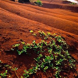 光荣特库摩《真三国无双8：帝国》试玩版现已上线